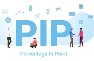 pip